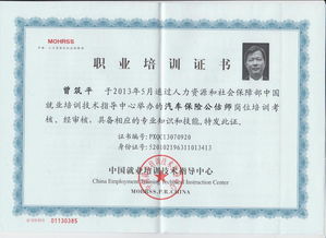 貴州國(guó)正二手車鑒定評(píng)估 人民法院訴訟中的專業(yè)角色與重要性